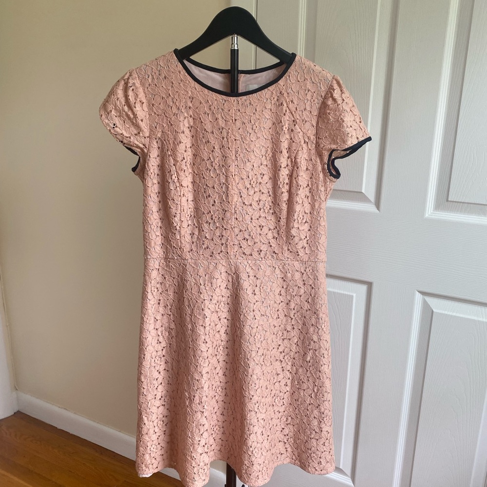 Ann Taylor Loft Woman’s Pink Lace Fit-and-Flare Dress with Black Trim Size 8
